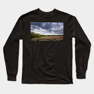 Geese Flying Off Under Stormy Skies Long Sleeve T-Shirt